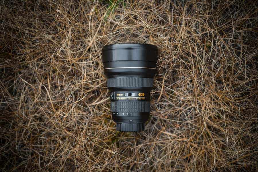 Nikon lens on withered grass